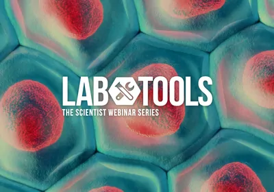 Realizing the Potential of Spatial Biology for a Noncanonical Model&nbsp;